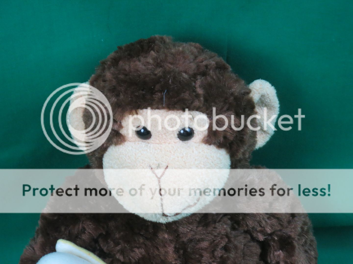 gund mambo monkey plush